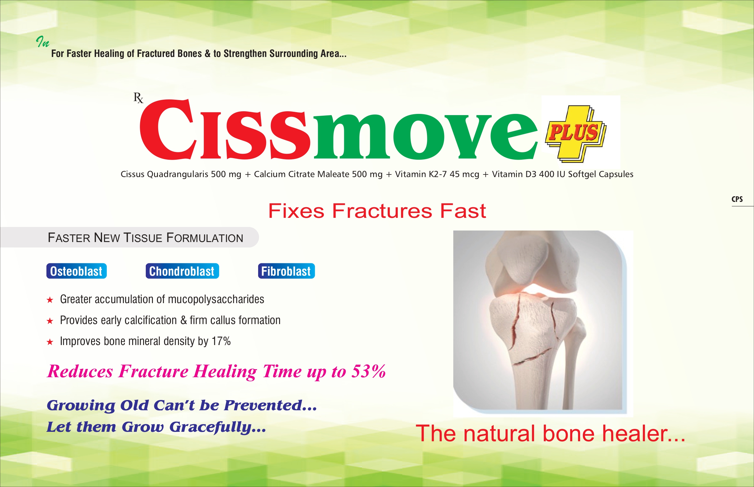 CISSMOVE PLUS